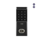 Khóa vân tay Epic ES-F501D màu vàng gold sang trọng, thiết kế thẳng đứng gọn gàng trên cửa gỗ