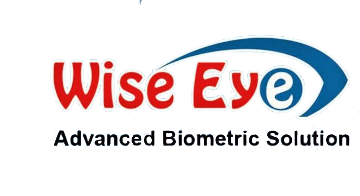 logo Wise Eye